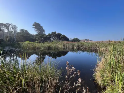 Oceanfront Acreage in Fort Bragg