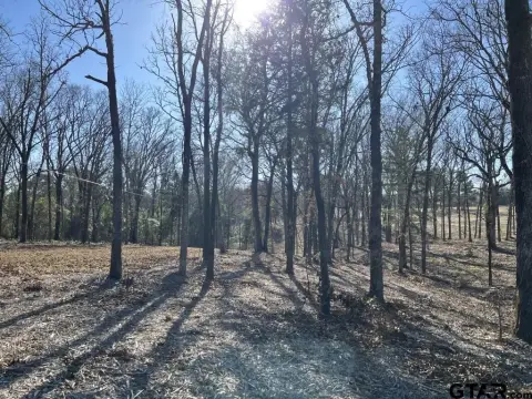 Wooded Acreage in Lindale, Texas