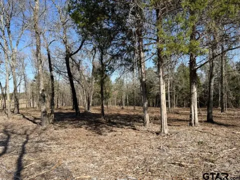 Picture of Land at Fm 16 W 19385, Lindale, TX