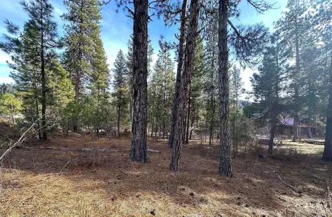 Unrestricted Lot Near National Forest