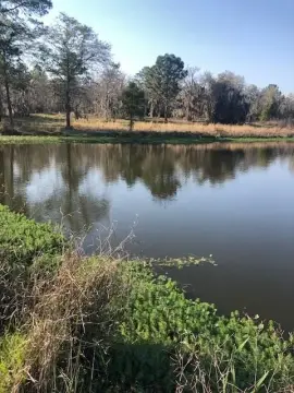 30 Acres Hunting Land in Hazlehurst