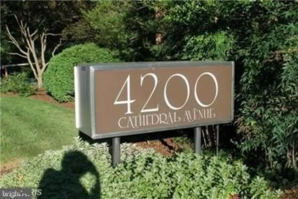 Picture 30