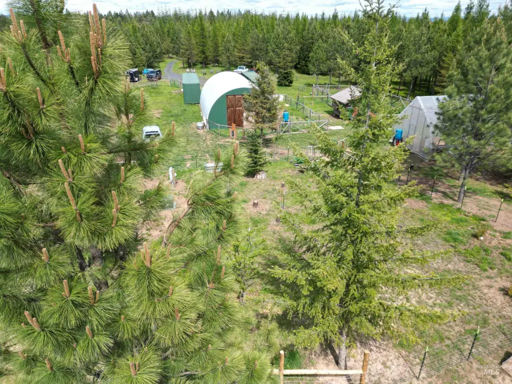 Picture 28