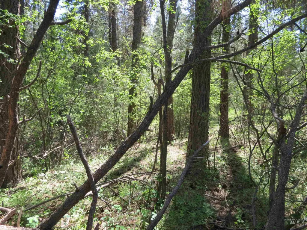 Picture 6