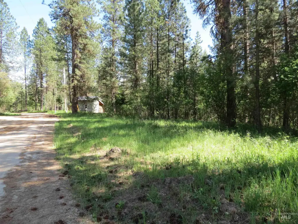 Picture 11