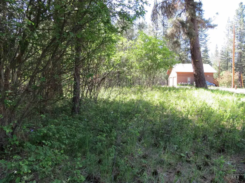 Picture 9