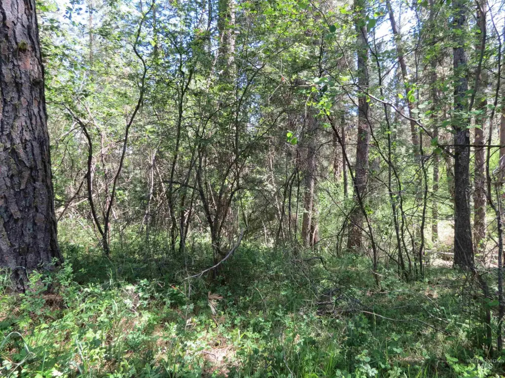 Picture 5