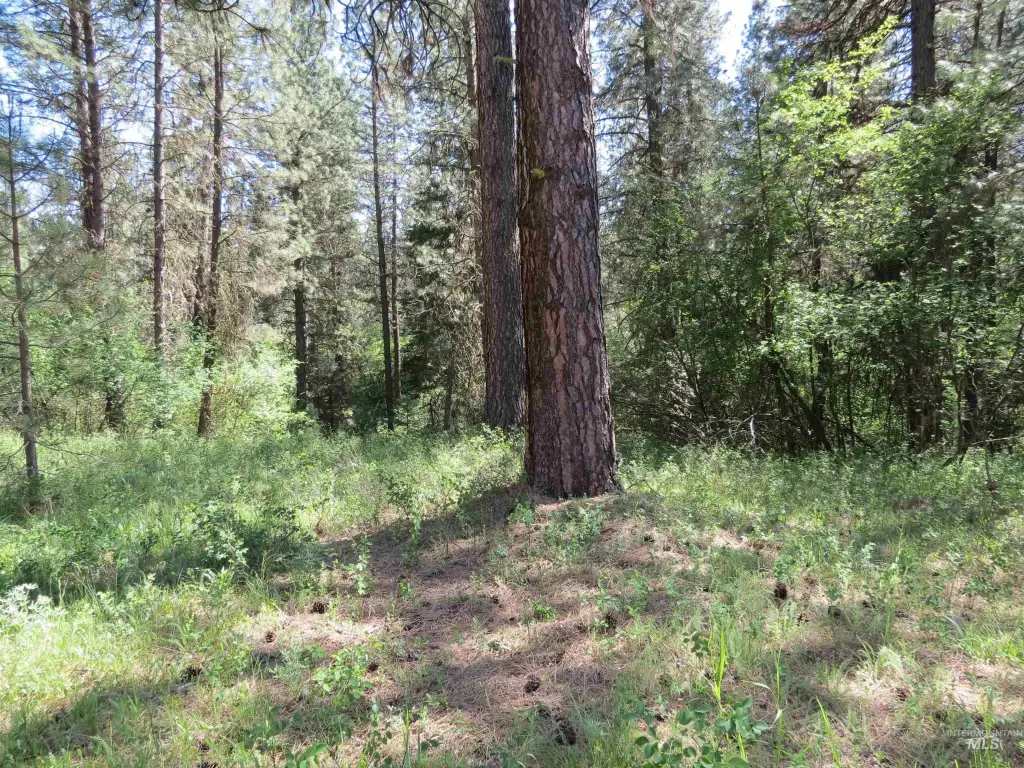 Picture 13