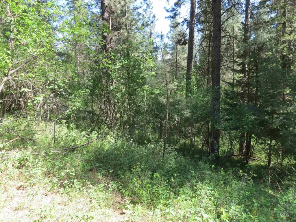 Picture 15