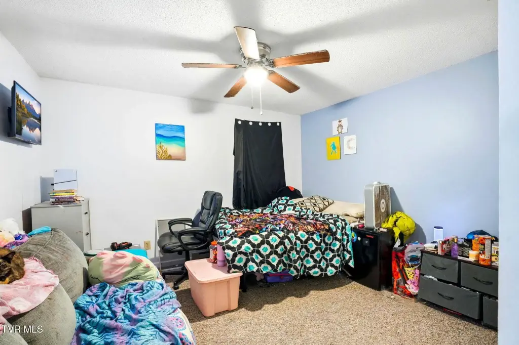 Picture 31