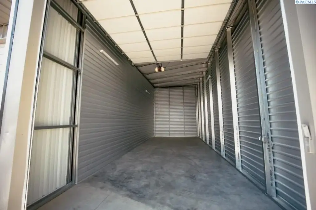 Picture 5