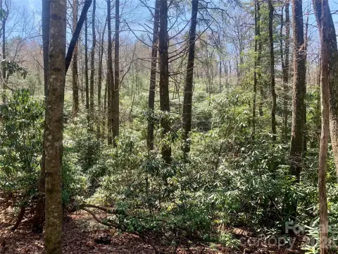 Lake Toxaway Land in Community