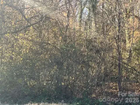 Wooded Lot in Spencer, NC