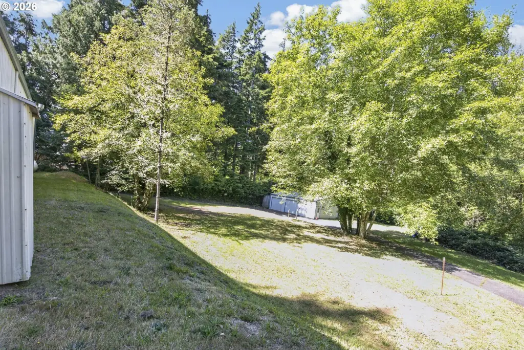 Picture 25