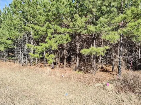 Residential Building Lot in Jackson Springs