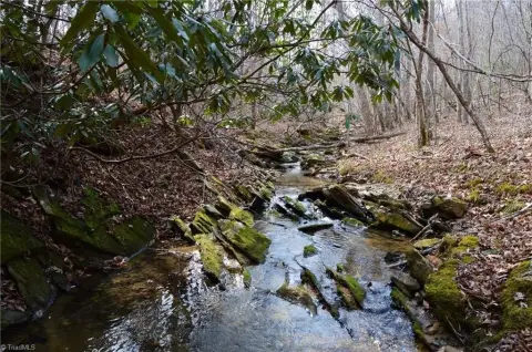 Westfield, NC Generational Property