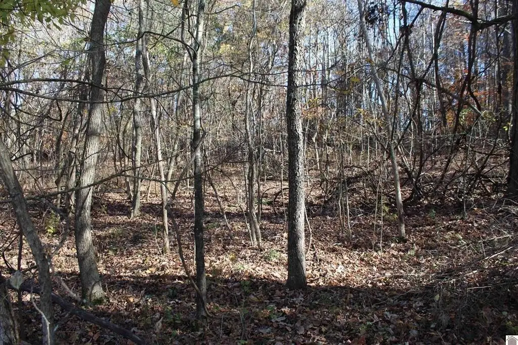 Picture 6