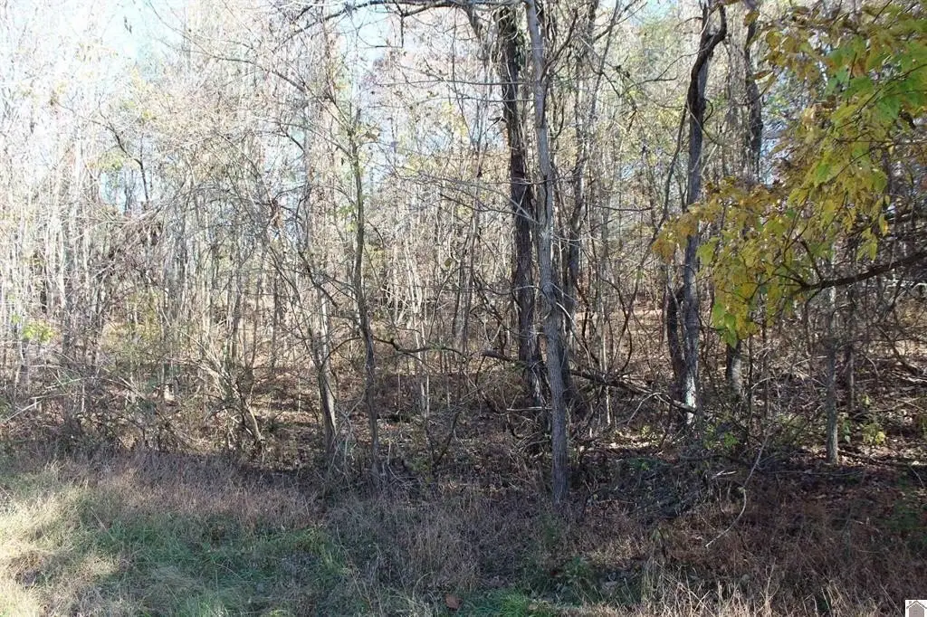 Picture 7
