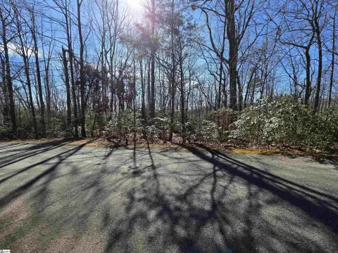 Residential Lot in Cliff Ridge