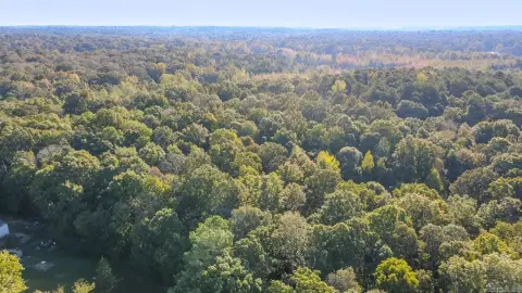 Timberland Acreage in Paragould, Arkansas