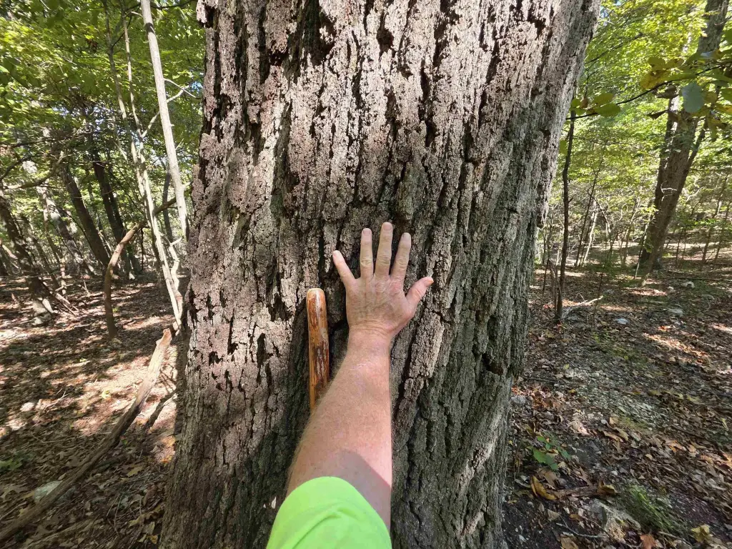 Picture 22