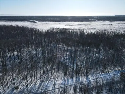 Wooded Land Near Mille Lacs