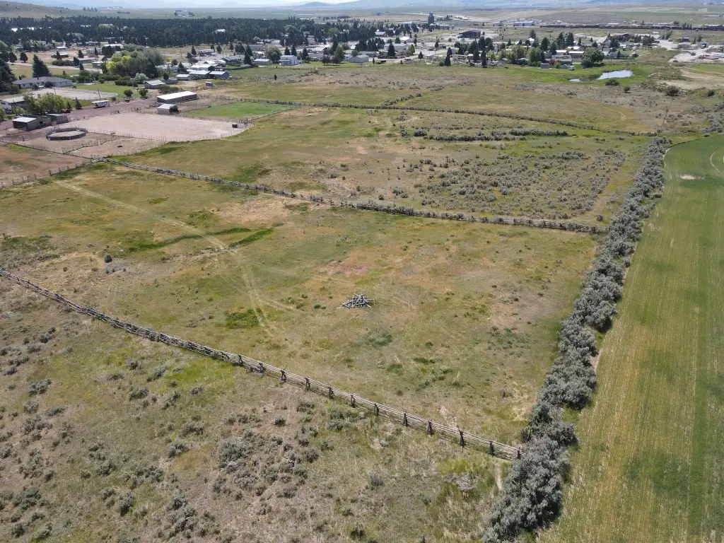 Picture 8