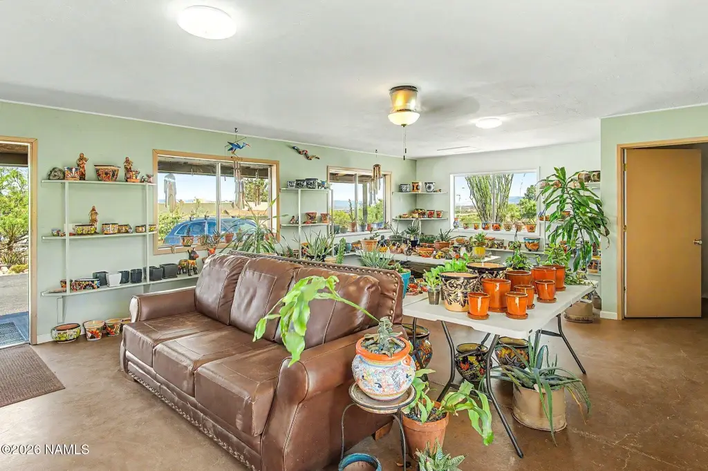 Picture 16