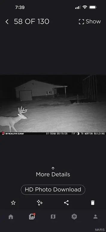 Picture 33