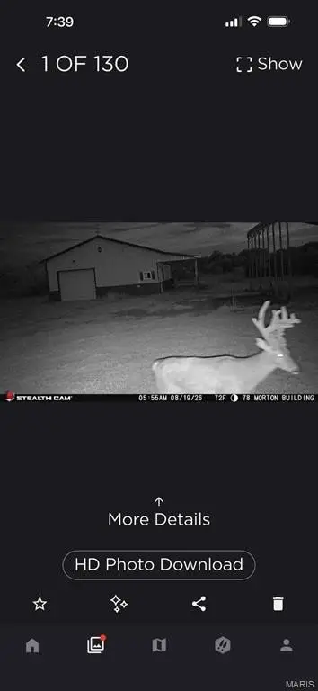 Picture 22