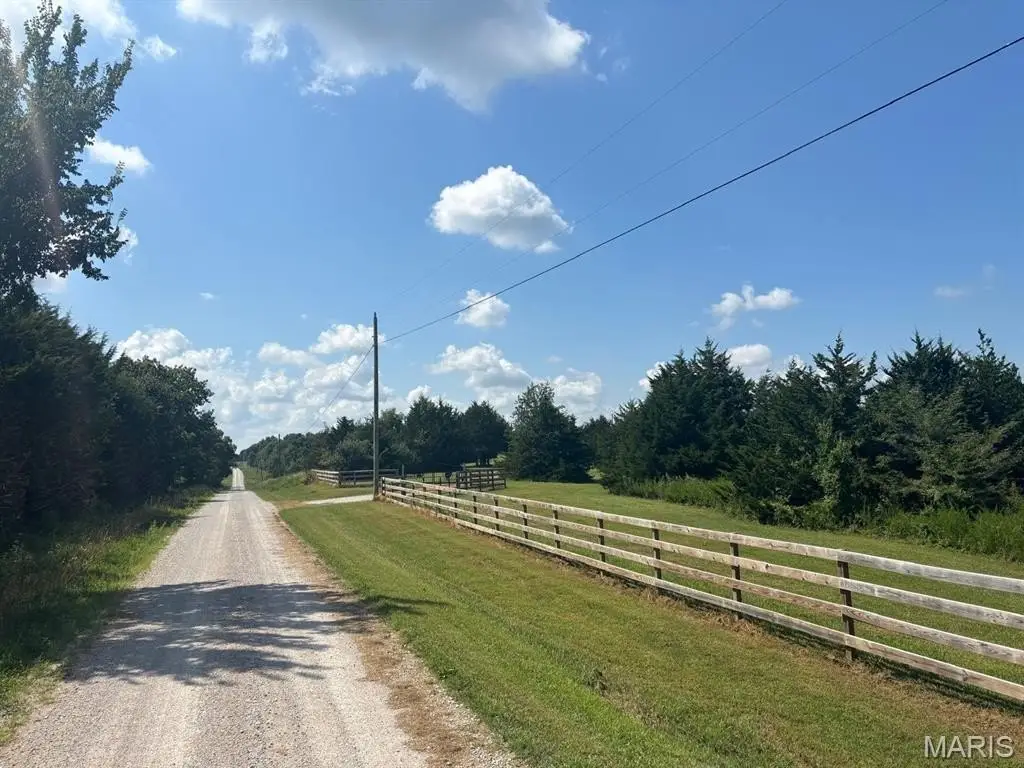 Picture 46