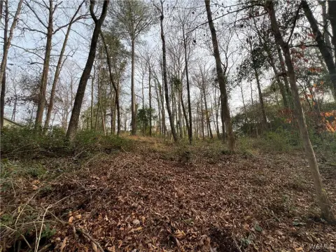 Residential Land Near University