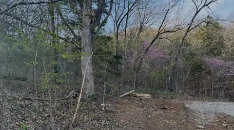 Residential Lot in Lake Community