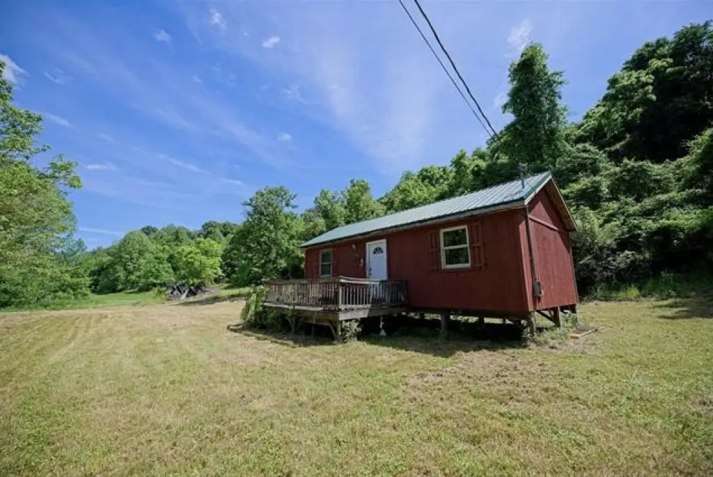 Picture 6