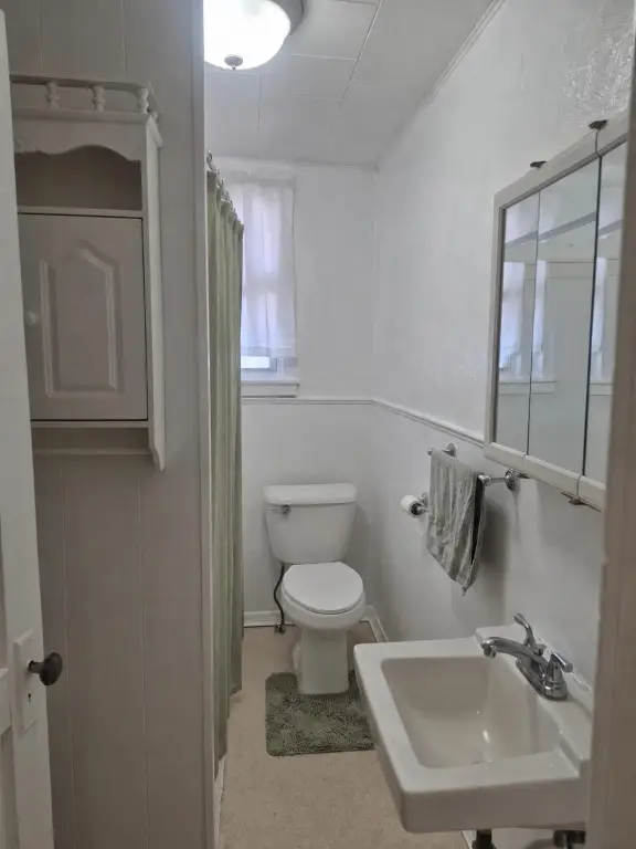 Picture 29