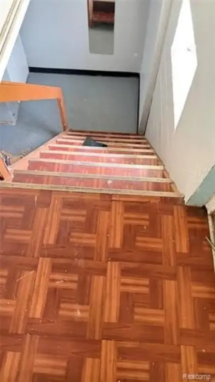 Picture 15