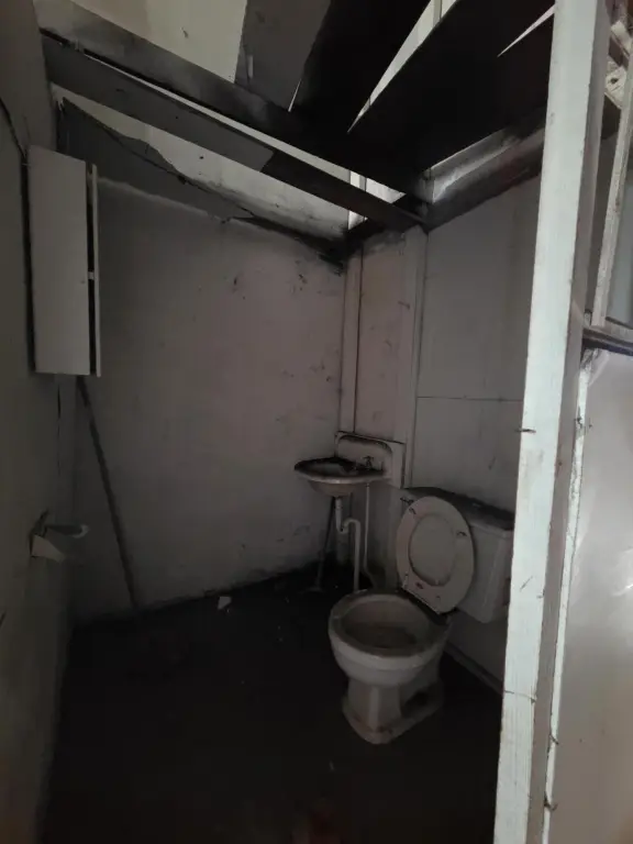 Picture 19