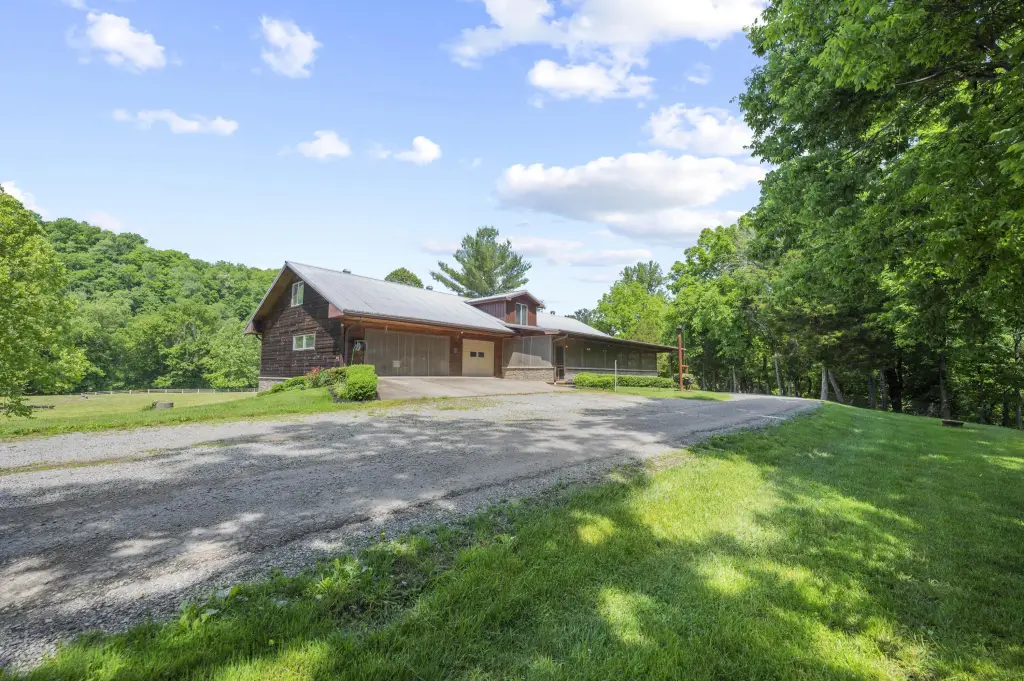 Picture 11