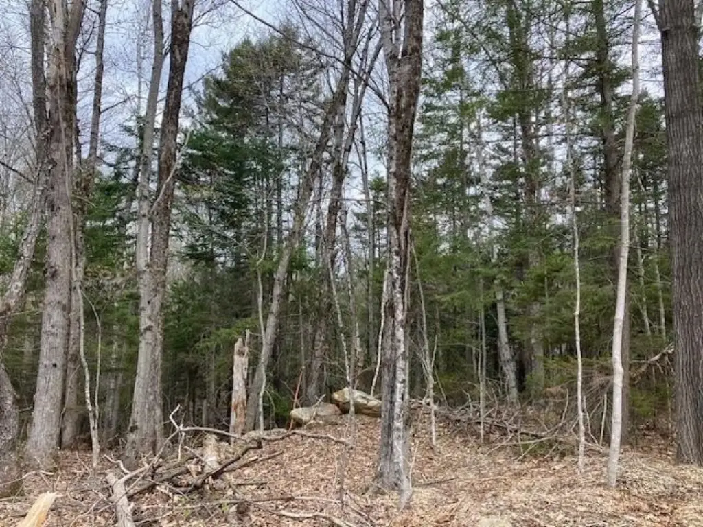 Picture 3