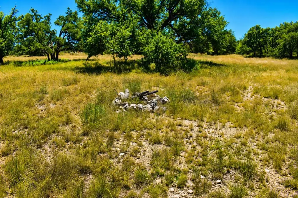 Picture 4