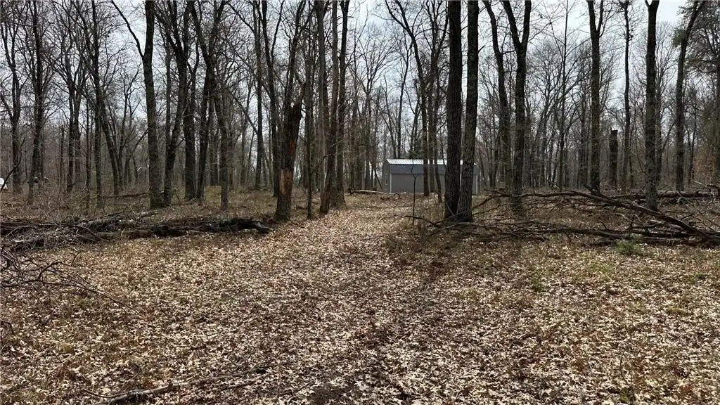 Picture 5