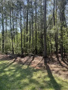Land in Savannah Lakes Village