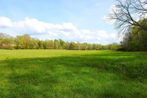 Pasture and Timber Land