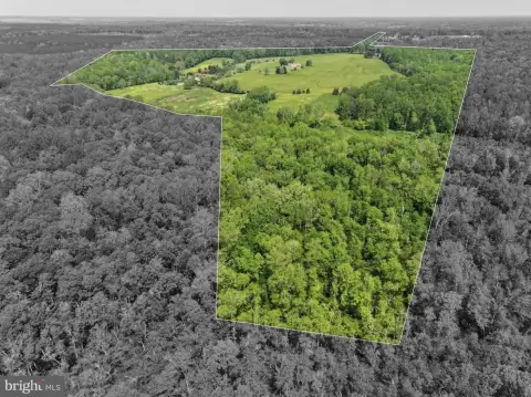 Spotsylvania Legacy Estate on 174 Acres