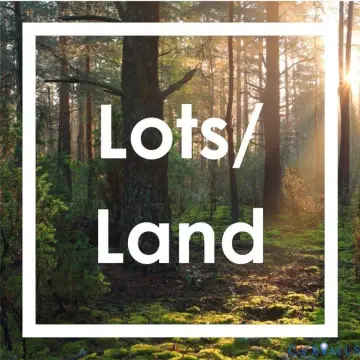 Wooded A-1 Land Parcel