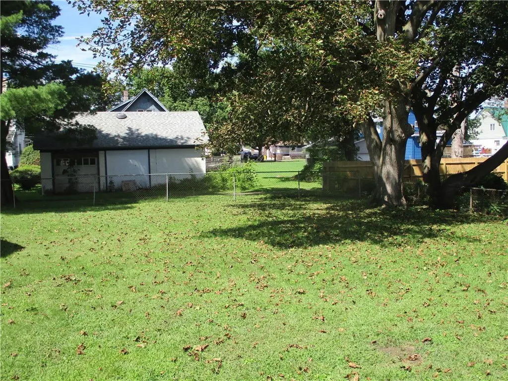 Picture 11