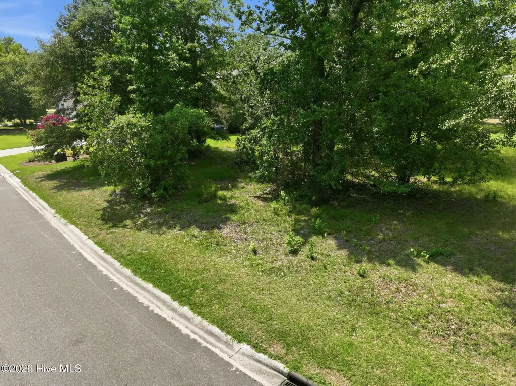 Picture 6