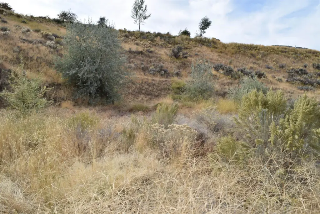 Picture 20