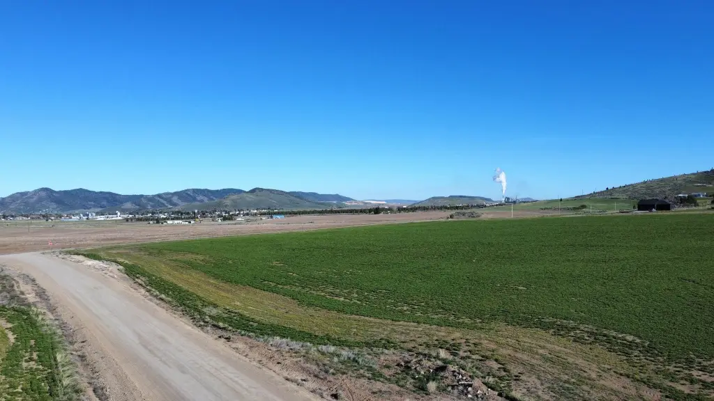 Picture 12