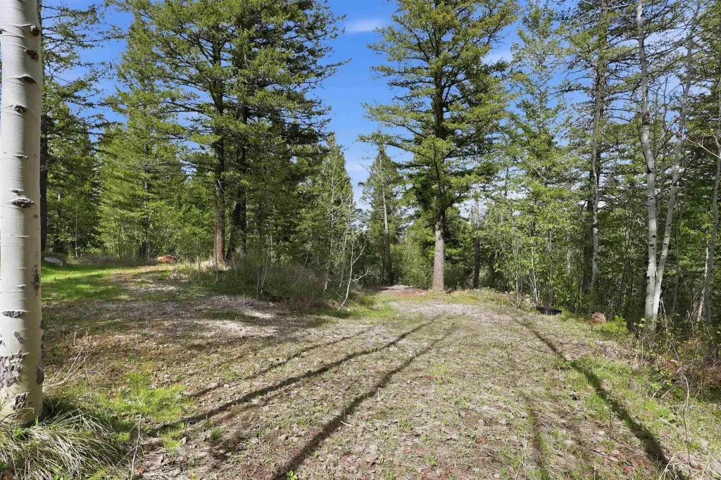 Picture 31